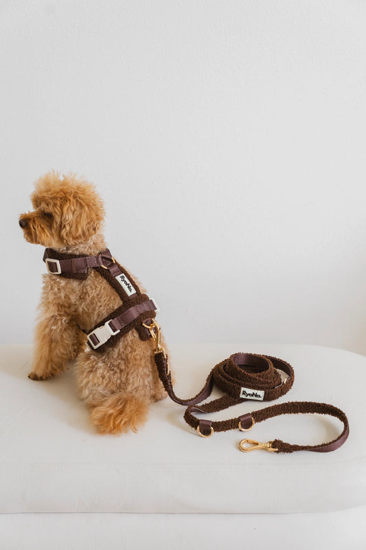 Laisse mains libres bouclée MARRON