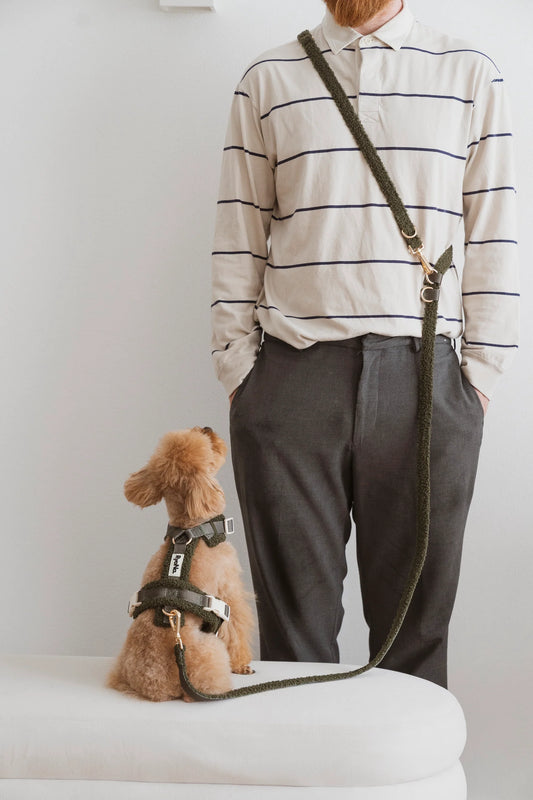 Laisse mains libres bouclée VERT OLIVE