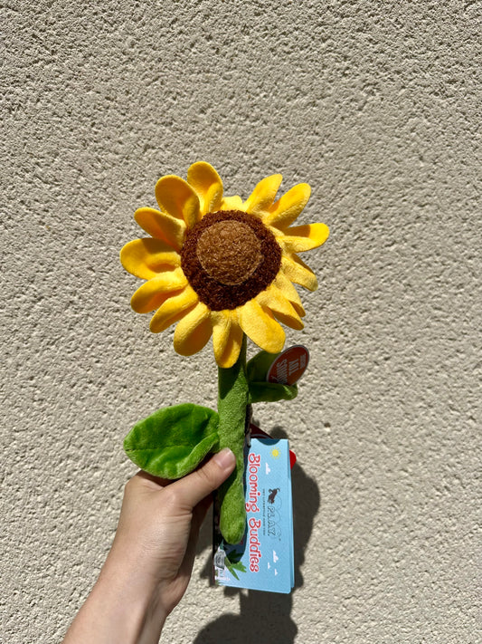 Peluche Tournesol épicé