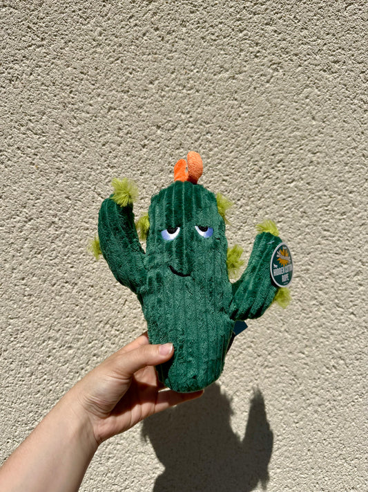 Peluche Cactus épineux