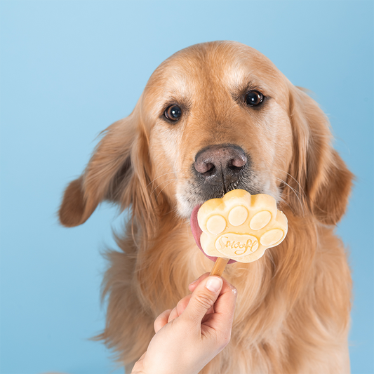 Glace pour chien BEURRE DE CACAHUÈTE