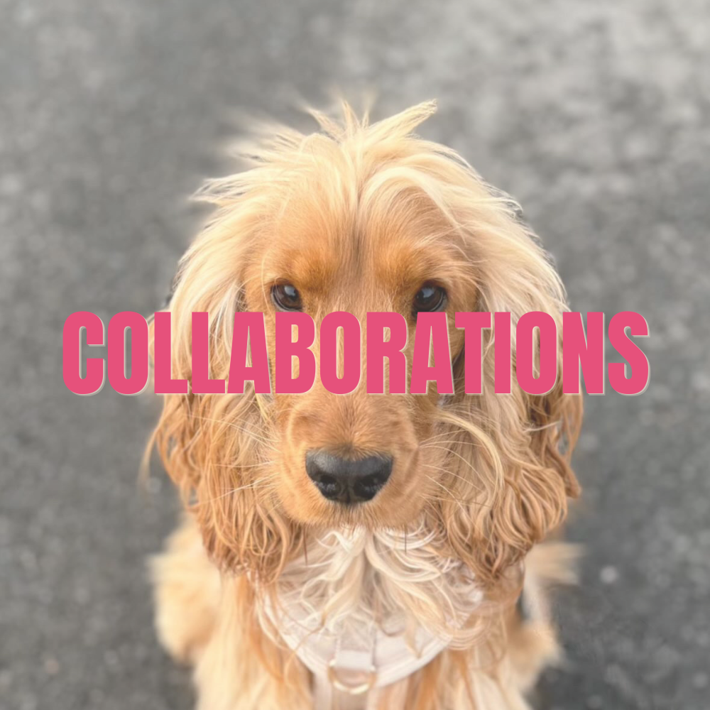 Nos Collaborations