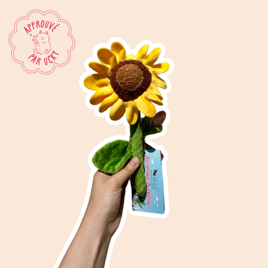 Peluche Tournesol épicé