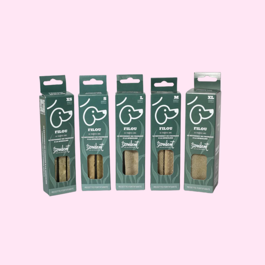 FILOU - Bâtonnet de fromage à la spiruline