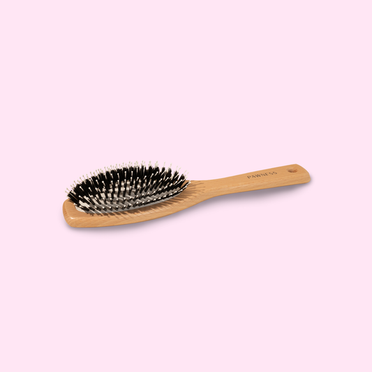 Brosse poils courts BOIS/NYLON