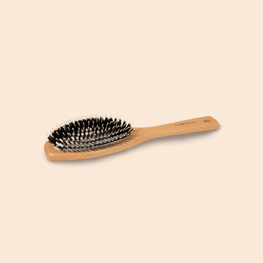 Brosse poils courts BOIS/NYLON