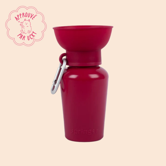 Gourde d'eau de voyage Springer Flip