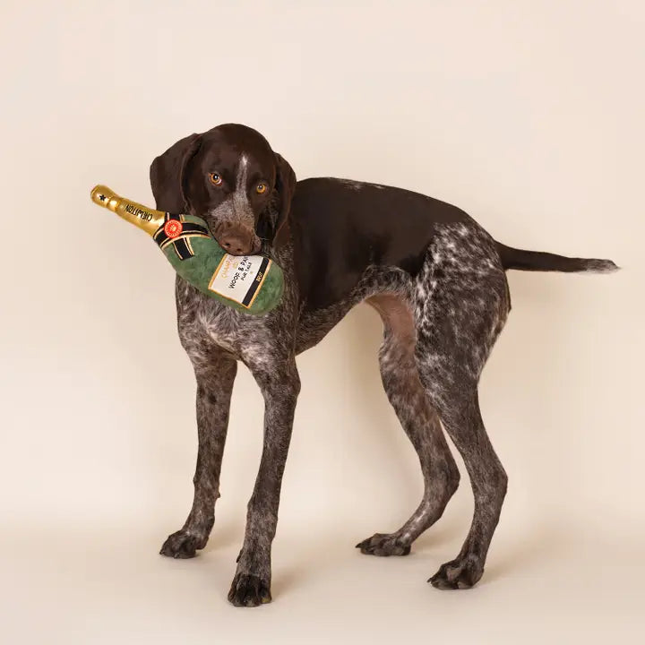 Peluche Bouteille de champagne VERT