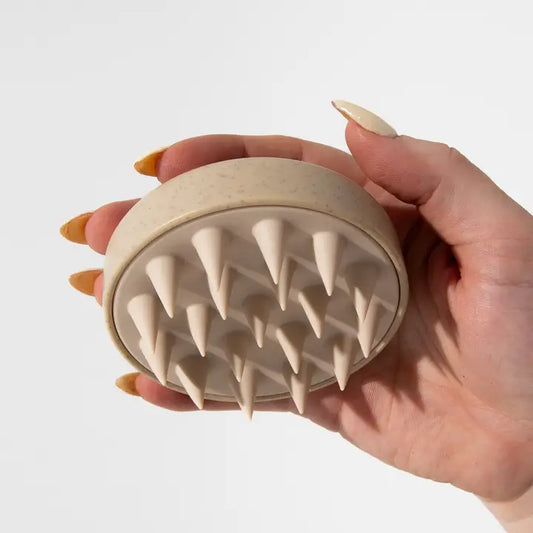 Brosse pour shampoing