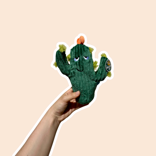 Peluche Cactus épineux