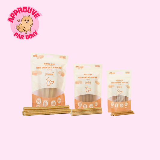 STITCH - Les dental sticks