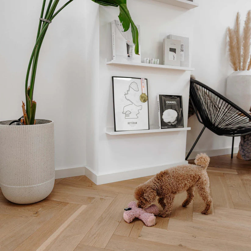 Peluche Ziggy ROSE