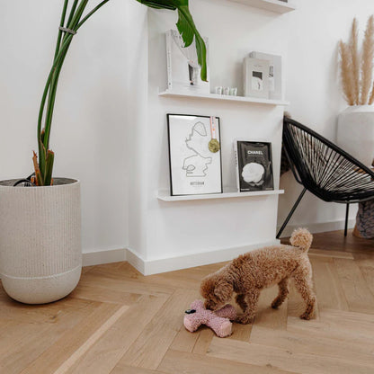 Peluche Ziggy ROSE