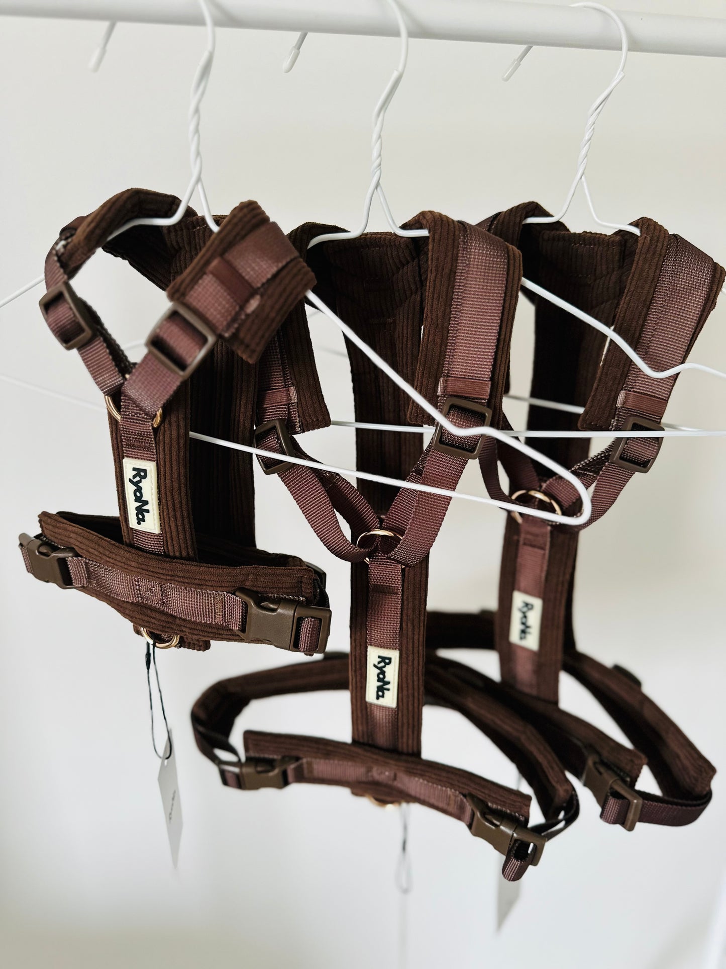 Harnais velours côtelé MARRON