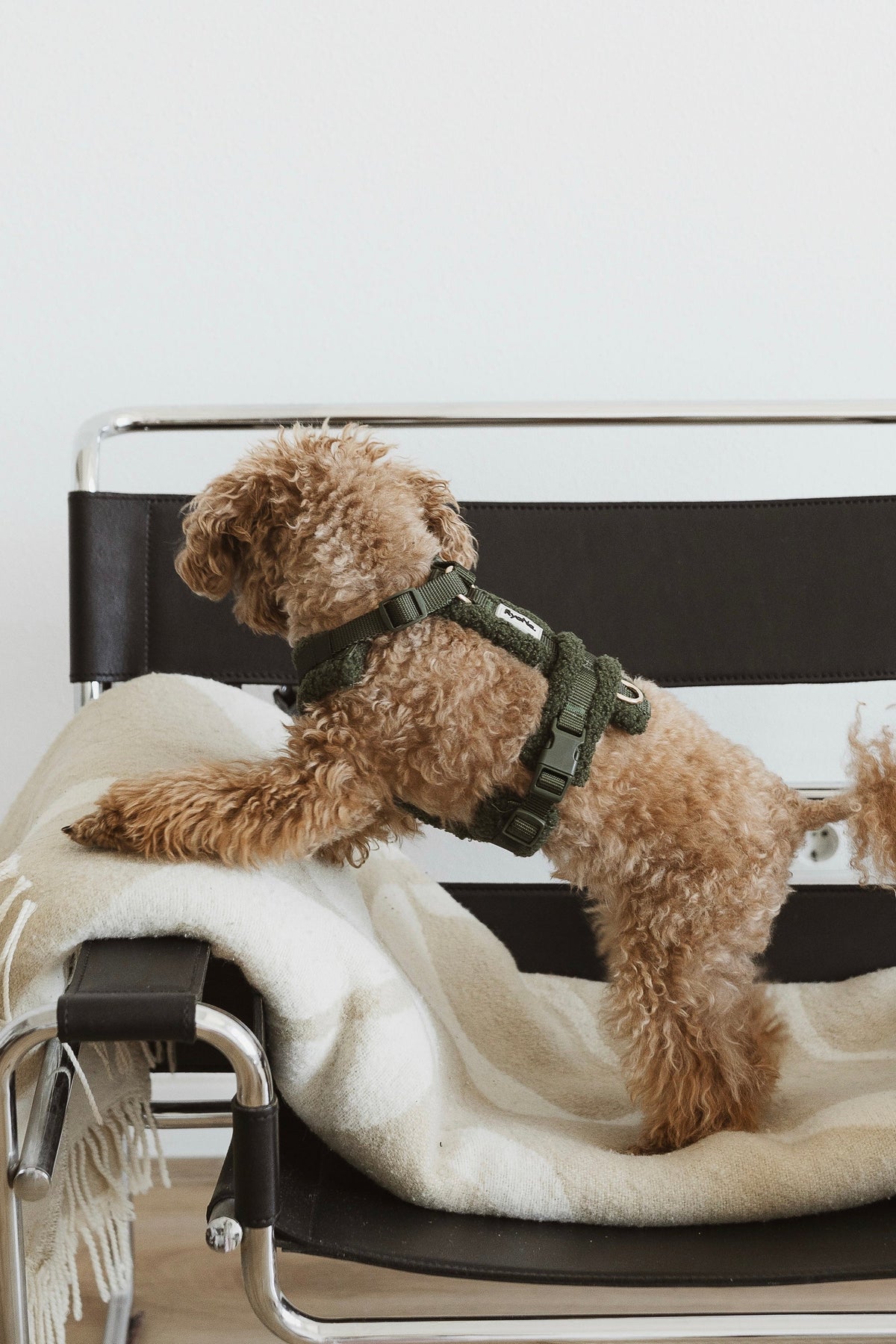 Harnais bouclé VERT OLIVE