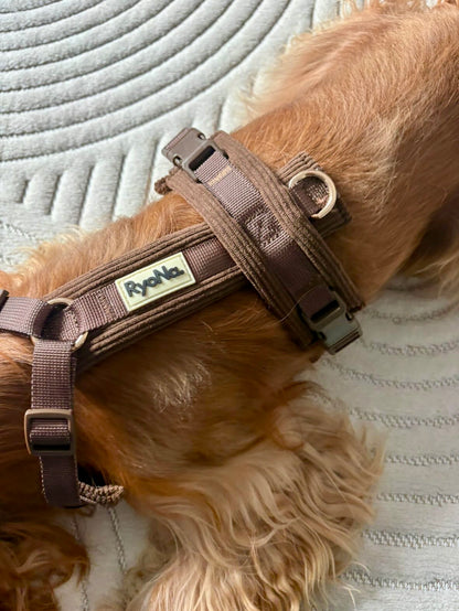 Harnais velours côtelé MARRON