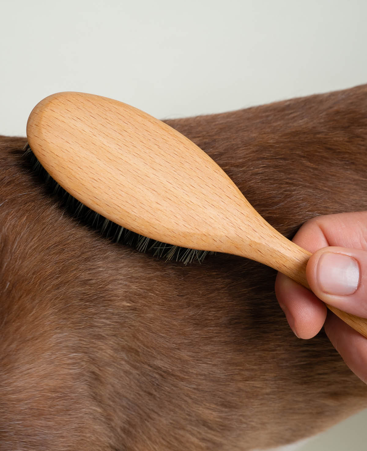 Brosse poils courts FIBRES NATURELLES
