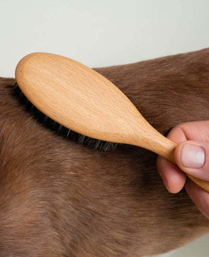 Brosse poils courts FIBRES NATURELLES