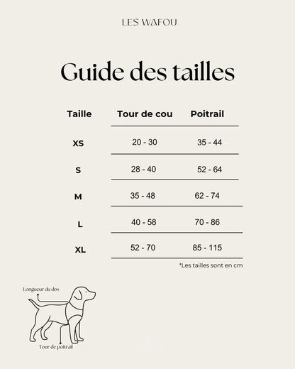 Harnais tweed BLEU CIEL