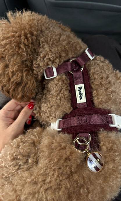 Harnais velours côtelé BORDEAUX