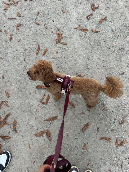 Harnais velours côtelé BORDEAUX