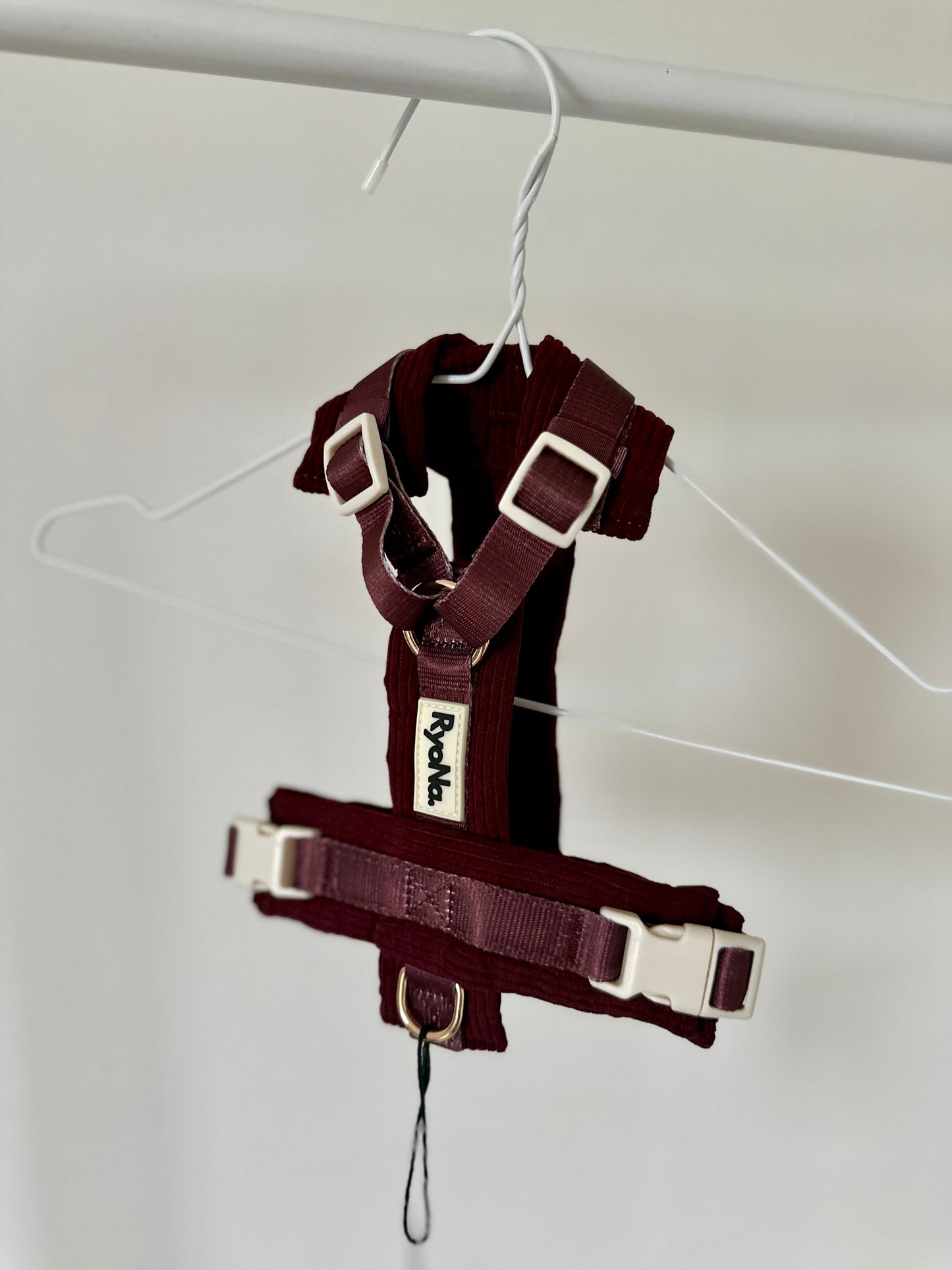 Harnais velours côtelé BORDEAUX