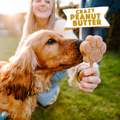 Glace pour chien BEURRE DE CACAHUÈTE