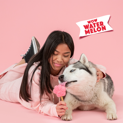 Glace pour chien PASTÈQUE