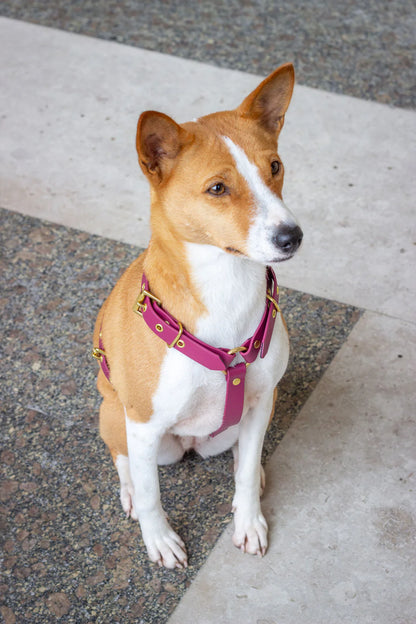 Harnais en biothane® SANGRIA