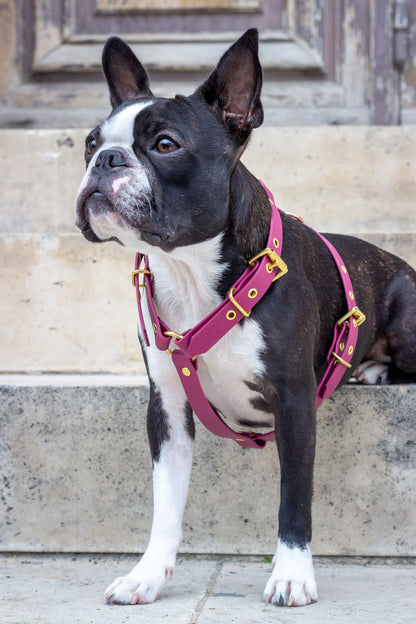 Harnais en biothane® SANGRIA