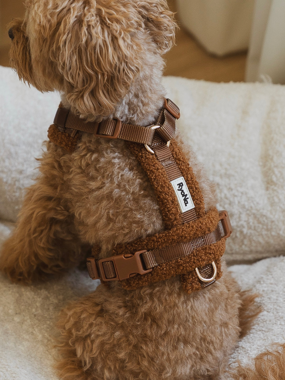 Harnais bouclé CARAMEL