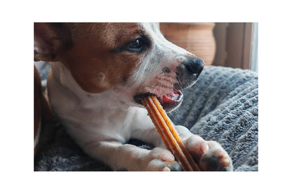 STITCH - Les dental sticks