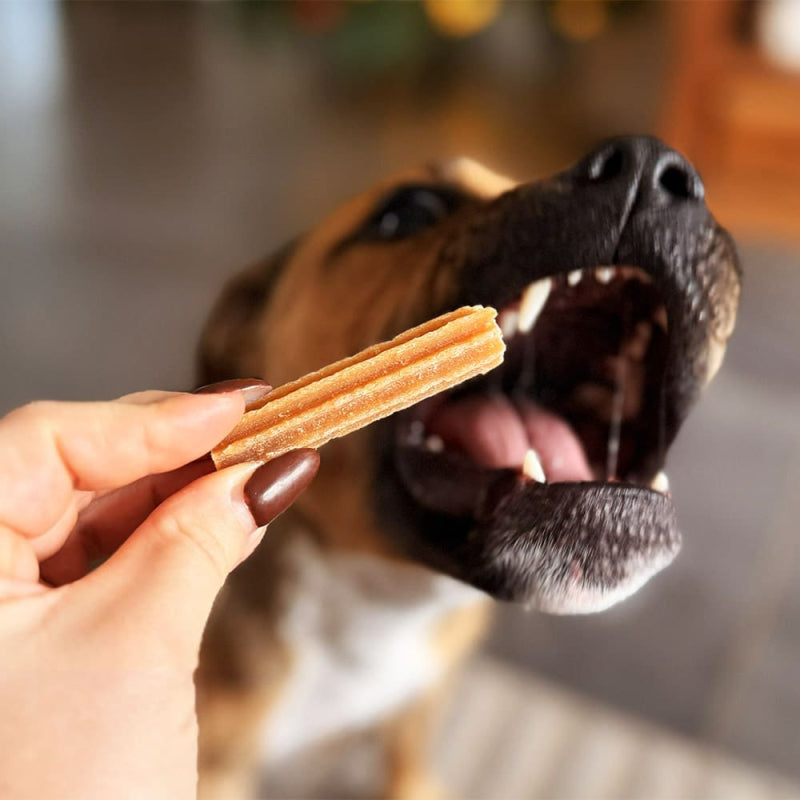 STITCH - Les dental sticks